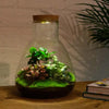 DIY terrarium - Sam Coffea met lamp - ↕ 30 cm - Rake + Shovel + Tweezer