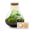 Terrarium - Sam XL + LED - ↑ 35 cm