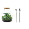 DIY terrarium - Fat Joe Groen - ↕ 30 cm - Rake + Shovel