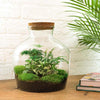 DIY terrarium - Fat Joe Groen - ↕ 30 cm - Rake + Shovel