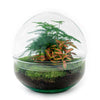 DIY terrarium - Dome Red - ↕ 20 cm - Rake + Shovel + Tweezer + Scissors