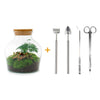 DIY terrarium - Little Joe - ↕ 21,5 cm - Rake + Shovel + Tweezer + Scissors