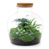 DIY terrarium - Fat Joe Groen - ↕ 30 cm - Rake + Shovel