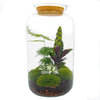 DIY terrarium - Botanical Sven XL - ↕ 43 cm - Rake + Shovel