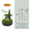 DIY terrarium - Botanical Sven XL - ↕ 43 cm - Rake + Shovel + Tweezer + Scissors