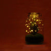 DIY terrarium - Jar Christmas - ↕ 28 cm