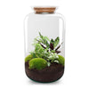 DIY terrarium - Botanical Sven XL - ↕ 43 cm - Normal