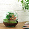 DIY terrarium - Dome Red - ↕ 20 cm - Rake + Shovel + Tweezer + Scissors