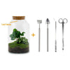 DIY terrarium - Milky Coffea met lamp - ↕ 31 cm - Rake + Shovel + Tweezer + Scissors