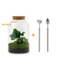 DIY terrarium - Milky Coffea met lamp - ↕ 31 cm - Rake + Shovel