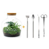 DIY terrarium - Fat Joe Groen - ↕ 30 cm - Rake + Shovel + Tweezer + Scissors