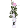 Rosa Crazy in love 'Pink' - Roze Roos - Ø15cm - ↕65cm