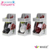 No Water Flowers Waxz Message Printz Xmas in Gift Box - 3 stuks - Ø7 cm - ↕15 cm