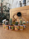 Cactus Mix - 6.5cmØ - 8-15cm hoog- (6 Stuks) - Picaso - Ø7.5 cm