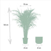 Areca palm met pot - ?110cm - Ø21cm