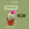 Cactus mix kunstbloemen- 8.5cmØ- 10-15cm- 3 stuks - Gekleurd zink