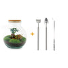 DIY terrarium - Teddy bonsai - ↕ 26,5 cm - Rake + Shovel + Tweezer