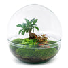 DIY terrarium - Dome XL - Ficus Ginseng Bonsai - ↕ 30 cm - Rake + Shovel + Tweezer + Scissors