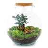 DIY terrarium - Bolder Bob Bonsai - ↕ 30 cm - Rake + Shovel + Tweezer