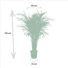 Areca palm - Ø21cm - ↕110cm