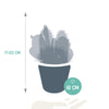 Cactus mix 10.5 cm - 3x - in witte pot