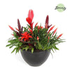 Bromelia Royal Urban Bowl Cannes - Ø30cm - ↕55cm