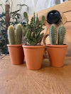 Cactus Palen Mix - 8.5cmØ- 15-20cm hoog - (3 Stuks) - Terracotta - Ø9.5 cm