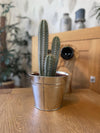 Cactus- Pilosocereus Azerues - 17cmØ- 30-40cm hoog - Zinc - Ø18 cm