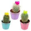 Cactus mix kunstbloemen- 8.5cmØ- 10-15cm- 3 stuks - Gekleurd zink