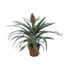 Ananas Mi Amigo - Ø12cm - ↕40cm