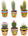 Cactus Mix - 6.5cmØ - 8-15cm hoog- (6 Stuks) - Picaso - Ø7.5 cm