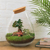 DIY terrarium - Drop XL Bonsai -↕ 37 cm - Rake + Shovel + Tweezer + Scissors