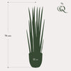 Kunstplant - Sanseveria Cylindrica - Vrouwentong - 70 cm