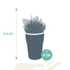 Cactus en vetplanten mix 5.5 cm | 15 stuks - in gekleurde plasticpot