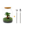 DIY terrarium - Milky met bonsai - ↕ 30 cm + RSTS - Rake + Shovel