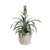 Ananas Mi Amigo in ELHO b.for rock 14 cm warm grey