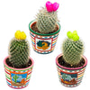 Cactus mix kunstbloemen- 8.5cmØ- 10-15cm- 3 stuks - Mexico