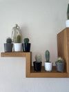 Cactus Mix - 6.5cmØ - 8-15cm hoog- (6 Stuks) - Modern Glasses - Ø7.5 cm