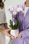 Kolibri Orchids | Roze phalaenopsis orchidee - Andorra - potmaat Ø9cm | bloeiende kamerplant - vers van de kweker