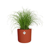 Cyperus Alternifolius Zumula Zonder Etiket in ELHO b.for soft rond 14cm brique