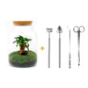 DIY terrarium - Milky met bonsai - ↕ 30 cm + RSTS - Rake + Shovel + Tweezer + Scissors