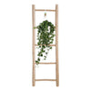 Hedera Helix Pitsburg - Hang/XXL - Ø17cm - ↕90cm