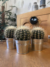 Cactus- Echiocactus Grusonii- 24cmØ- 23-28cm hoog - Zinc - Ø11.5 cm - 3x - ↕13 - 17 cm