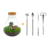 DIY terrarium - Sam XL Bonsai - ↕ 35 cm - Rake + Shovel + Tweezer